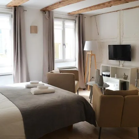 아파트 Maison Verte Centre 콜마