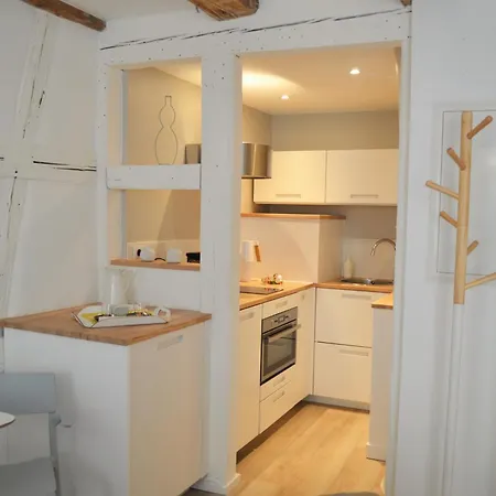 Maison Verte Centre * 콜마