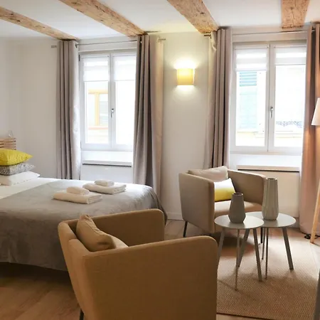 Maison Verte Centre * 콜마