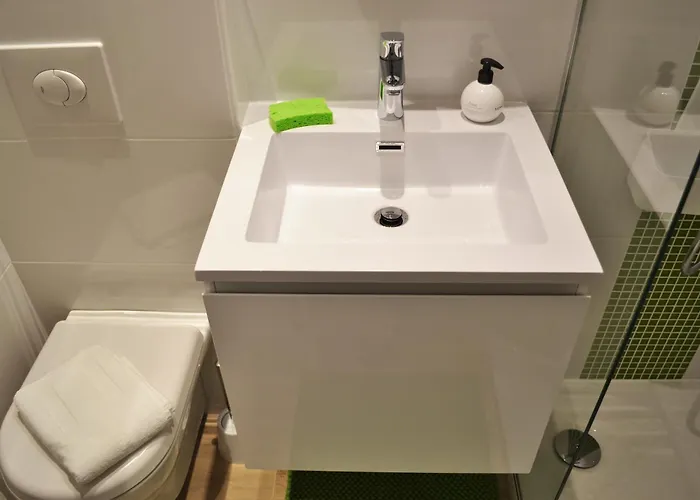 Apartment Maison Verte Centre Colmar