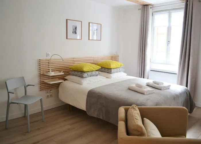 Maison Verte Centre Apartment Colmar