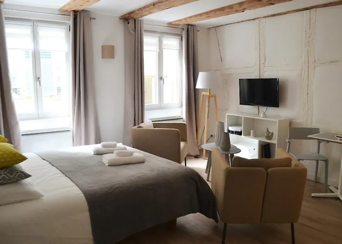Apartment Maison Verte Centre Colmar