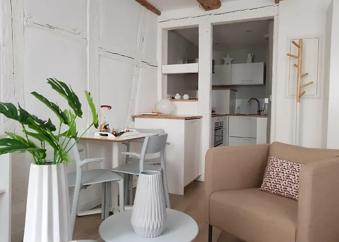 Apartment Maison Verte Centre Colmar